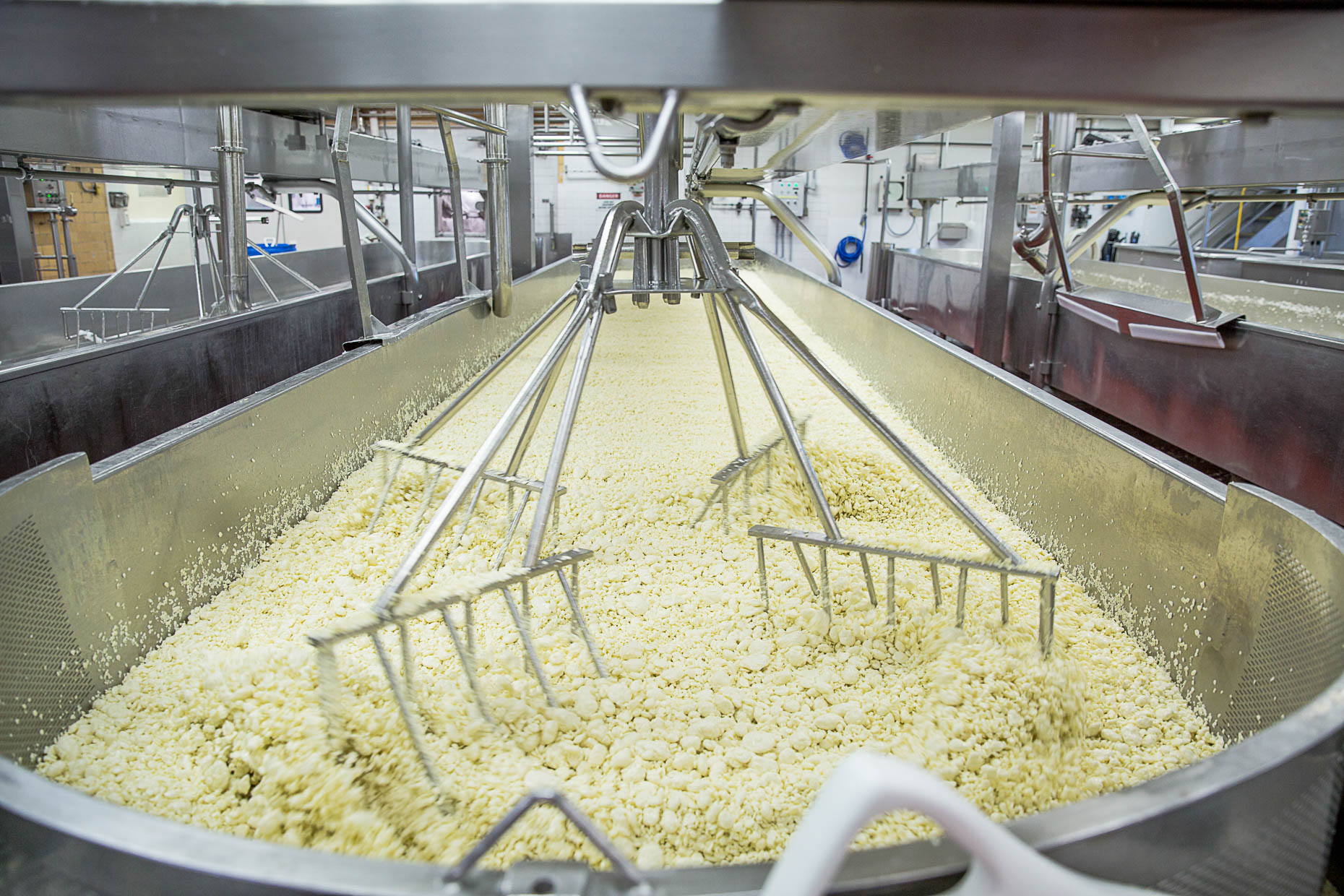 agriculture photographer - a cheese factory machine separates curds