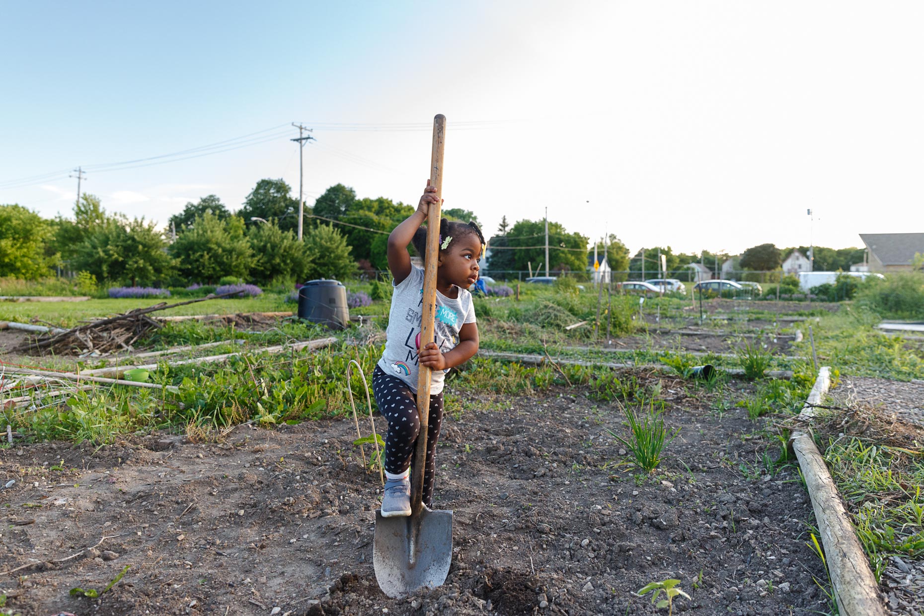 Zoe Scholle-Malone, age 3, gets some work done in the family garden plot.