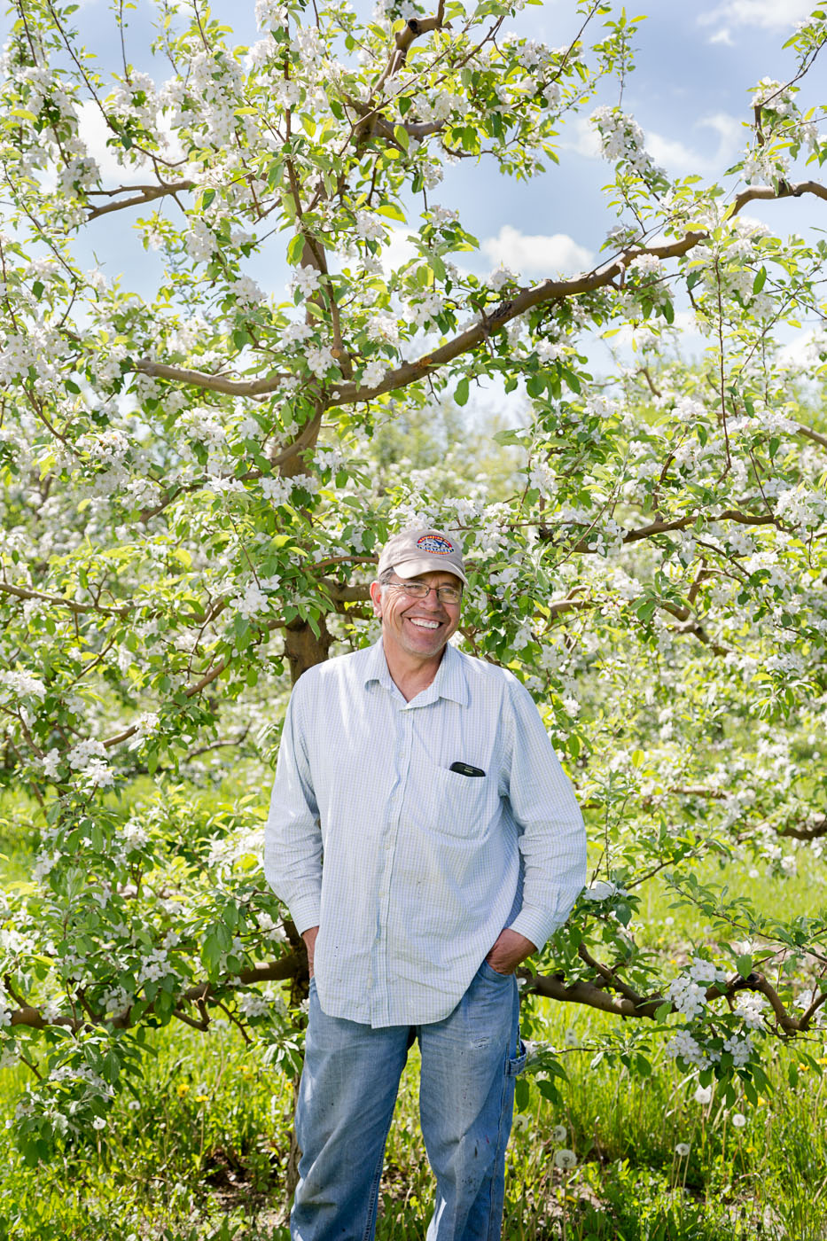 agriculture photographer Midwest - a farmer stands in front of an apple tree in bloom 