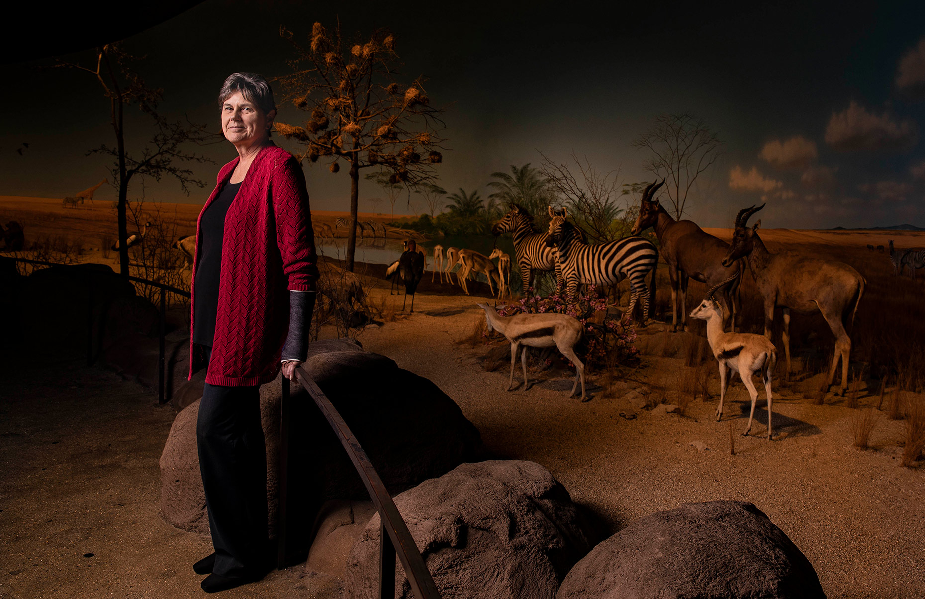 editorial photographer Milwaukee - Dr. Ellen Censky, director of the Milwaukee Public Museum, photographed in an exhibit