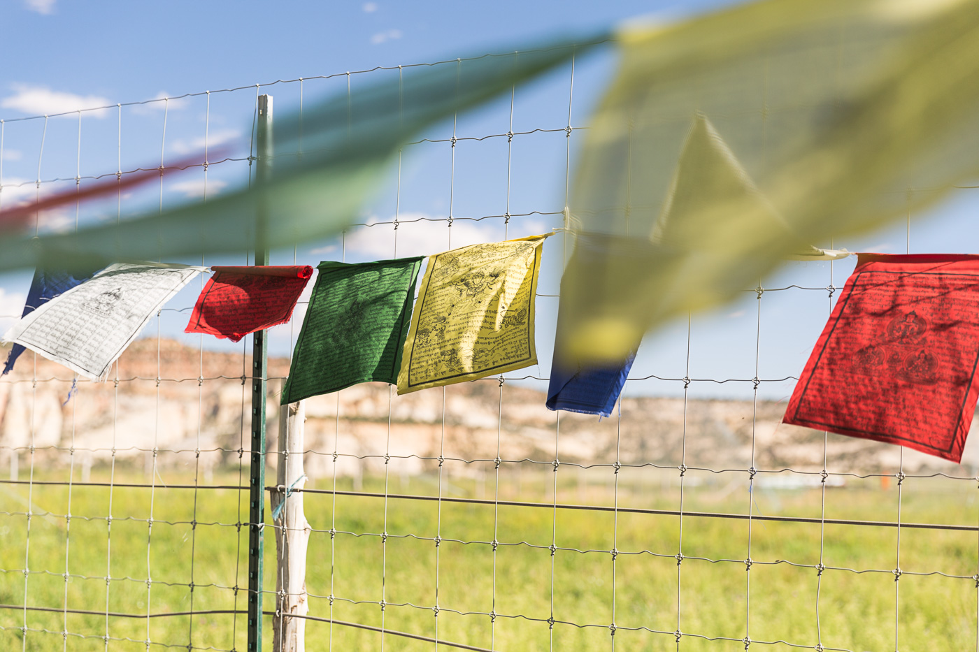 agriculture photographer - Tibetan prayer flags strung over a farm field