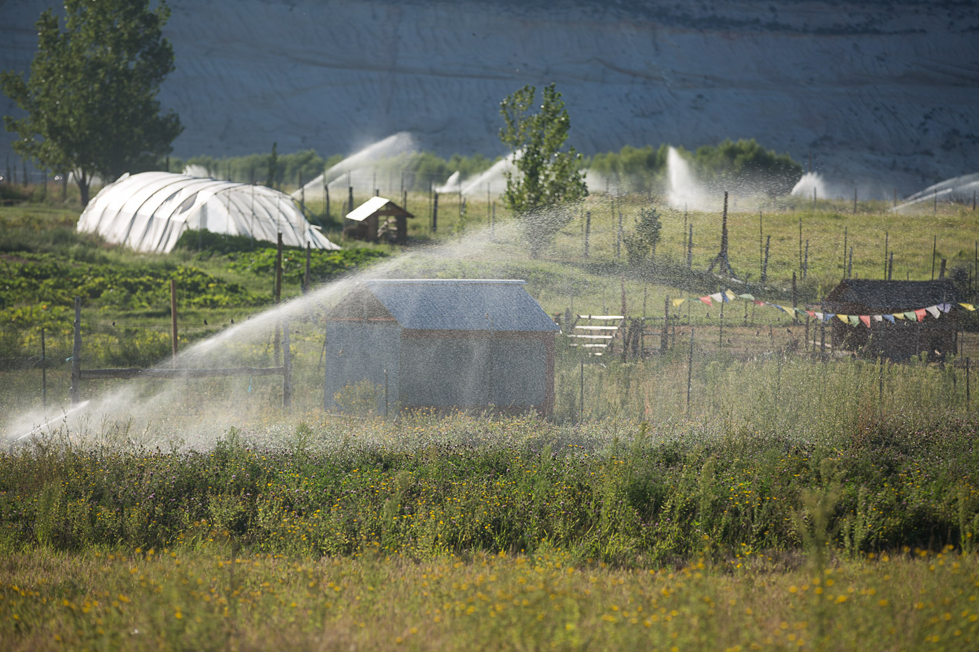 farm photographer - irrigation of the fields at Hell