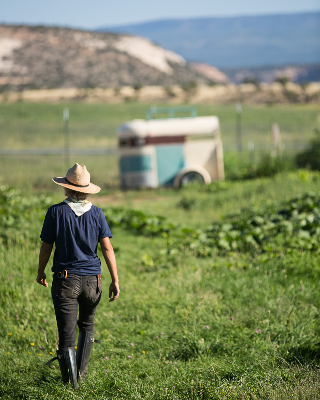 farm photography - a farmer walks in a field at Hell