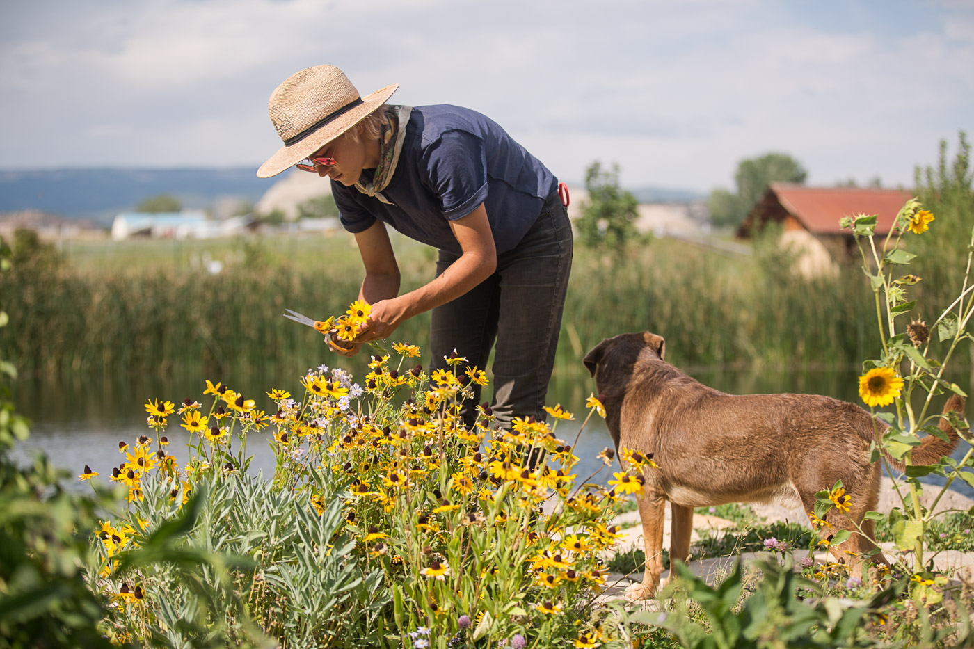 farm photography - a farmer picks flowers with her dog at Hell