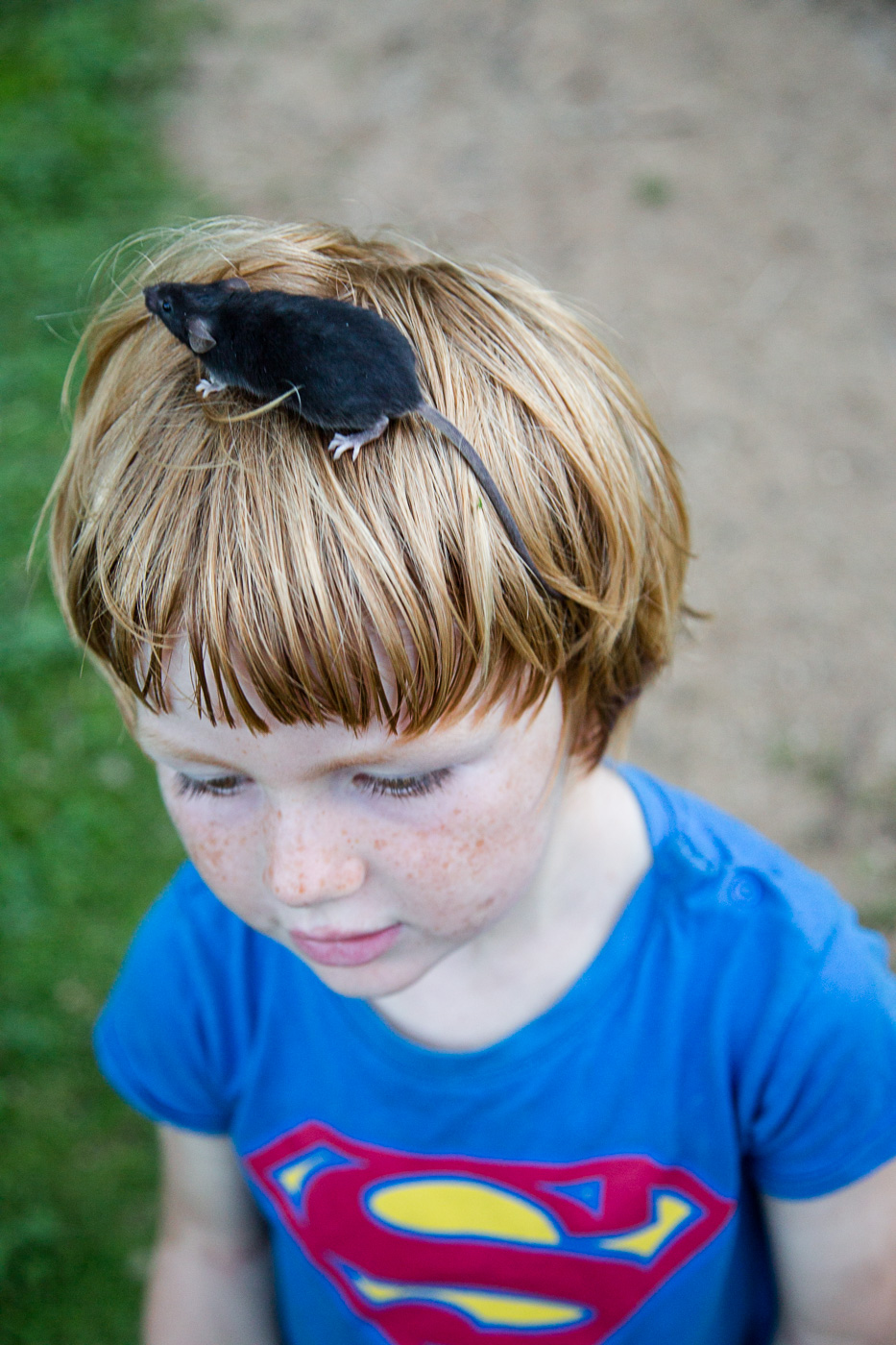 Sara Stathas portrait photographer - a boy with his pet mouse on the top of his head