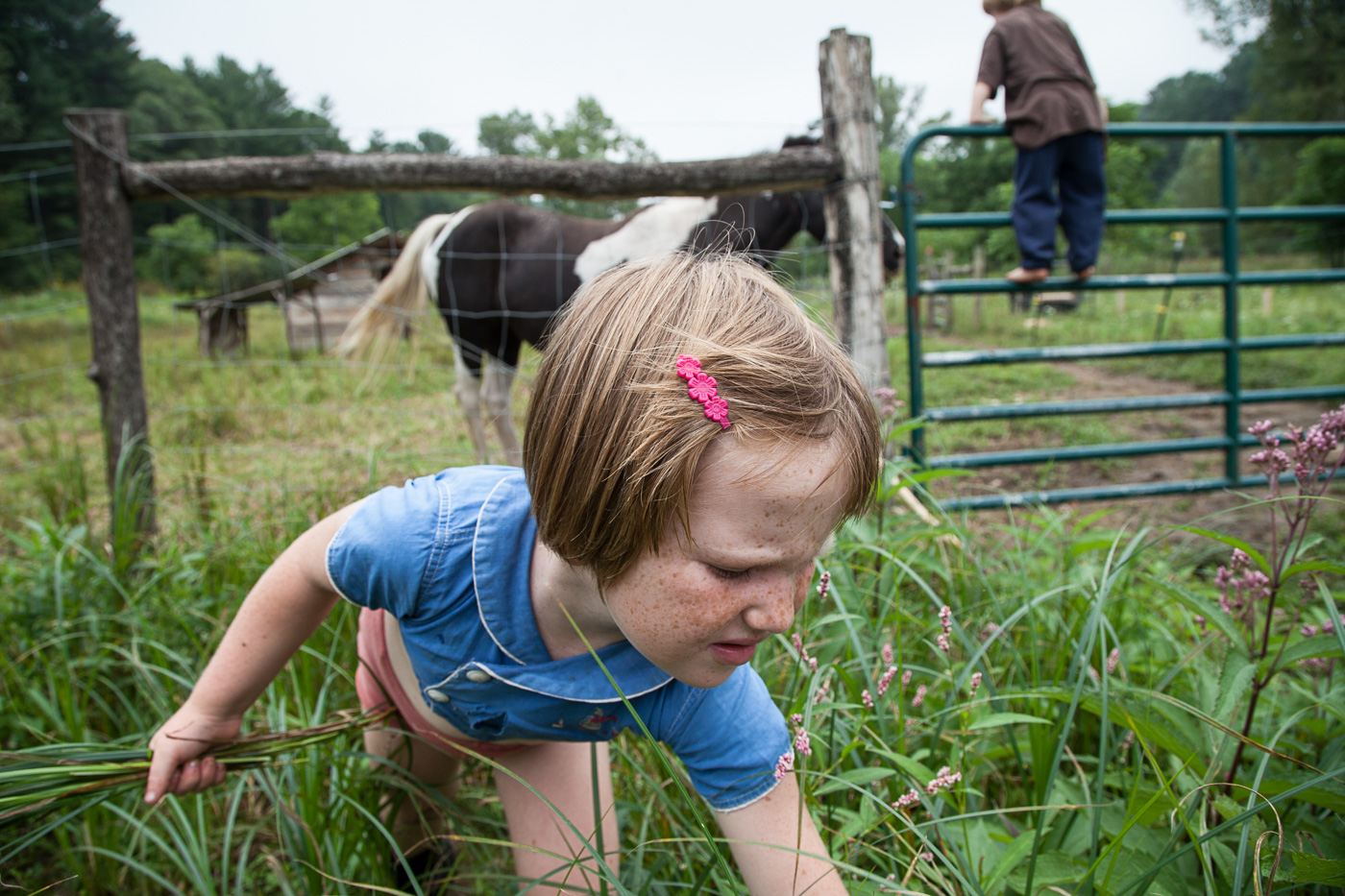 Sara Stathas portrait photographer - a young farm girl plays in the pasture