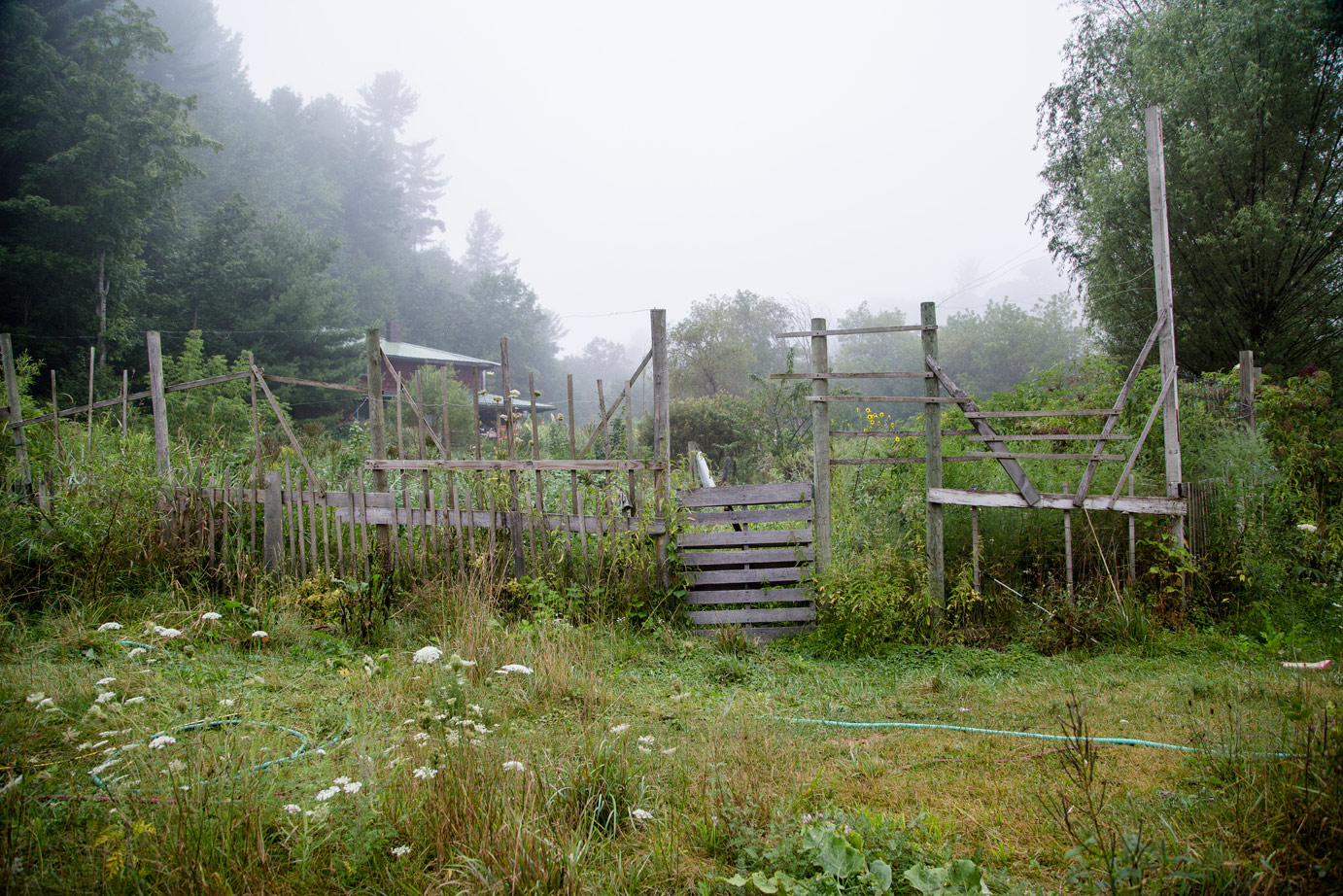 Sara Stathas farm photographer - a farm field on a foggy morning