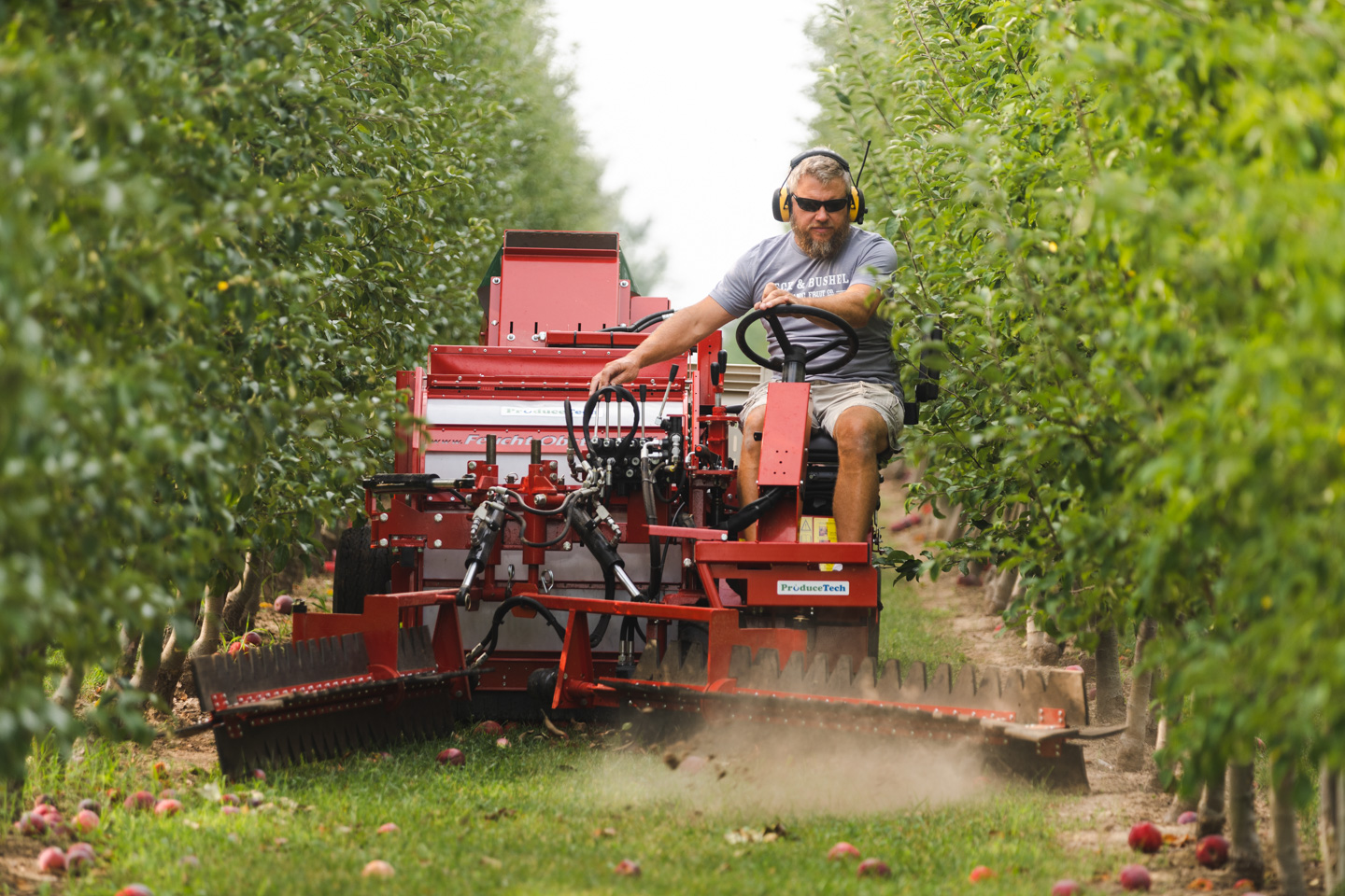 farm photographer - a farmer rides a machine that picks up fallen apples in the field