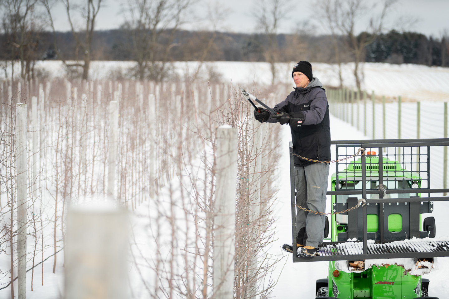 farm photographer - Joe Fahey, farmer, trims his orchard in the winter