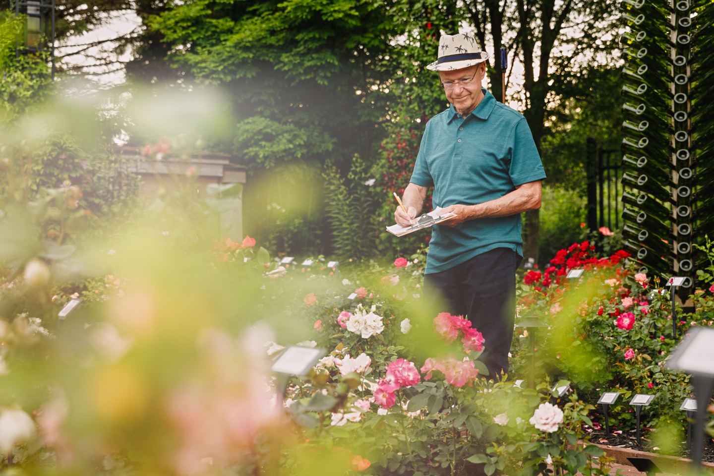agriculture photographer Midwest - Will Radler, inventor of the Knockout Rose, working in his test garden